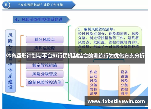 体育塑形计划与平台排行榜机制结合的训练行为优化方案分析