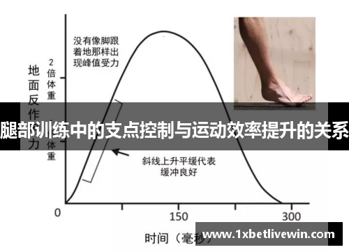 腿部训练中的支点控制与运动效率提升的关系