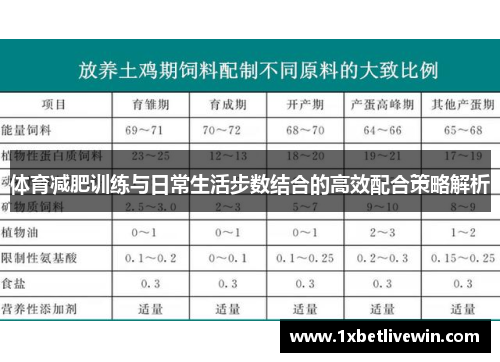 体育减肥训练与日常生活步数结合的高效配合策略解析